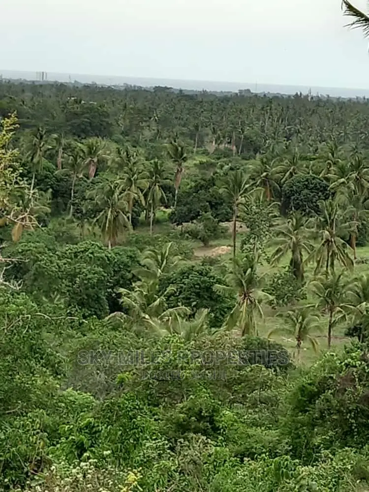 6-Acre Land Opportunity in Bomani, Kikambala - Buy Now in Kikambala