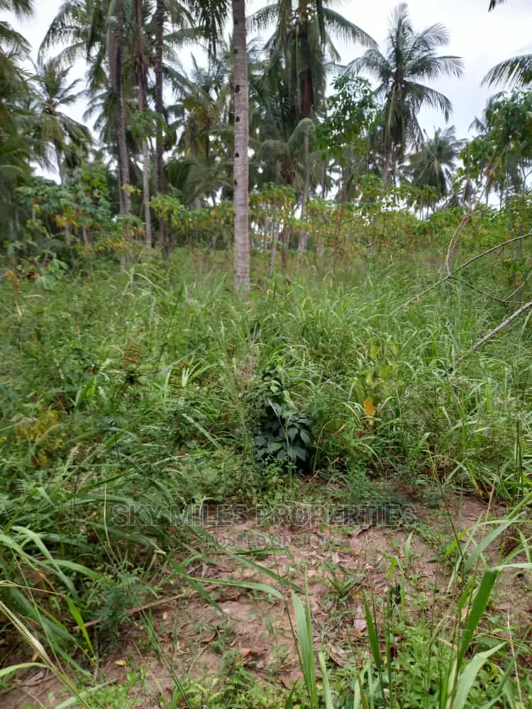 6-Acre Land Opportunity in Bomani, Kikambala - Buy Now in Kikambala