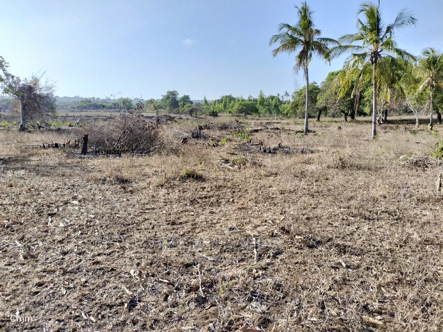 12-Acre Mvindeni Property: Investment Opportunity in Ukunda