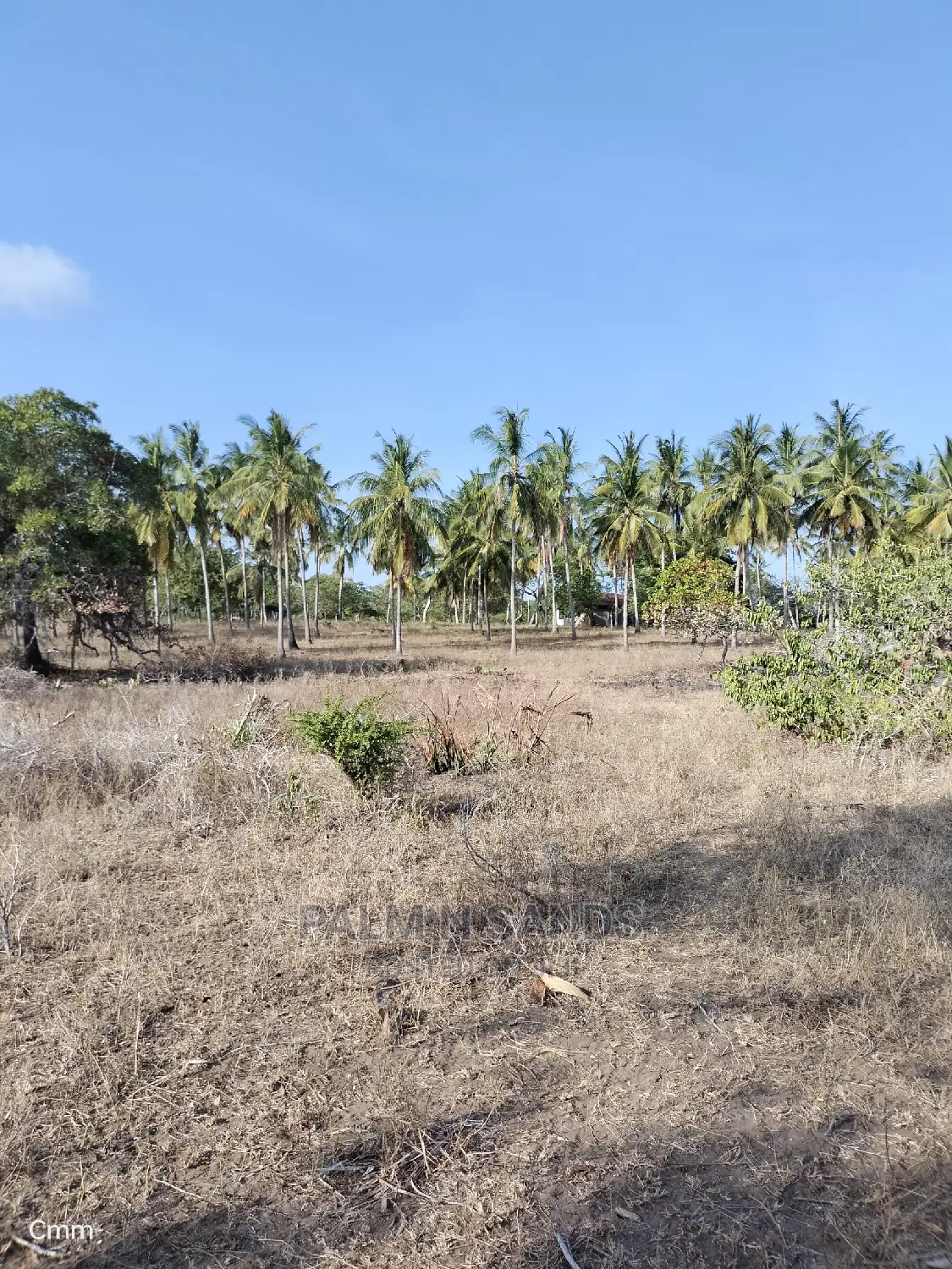 12-Acre Mvindeni Property: Investment Opportunity in Ukunda