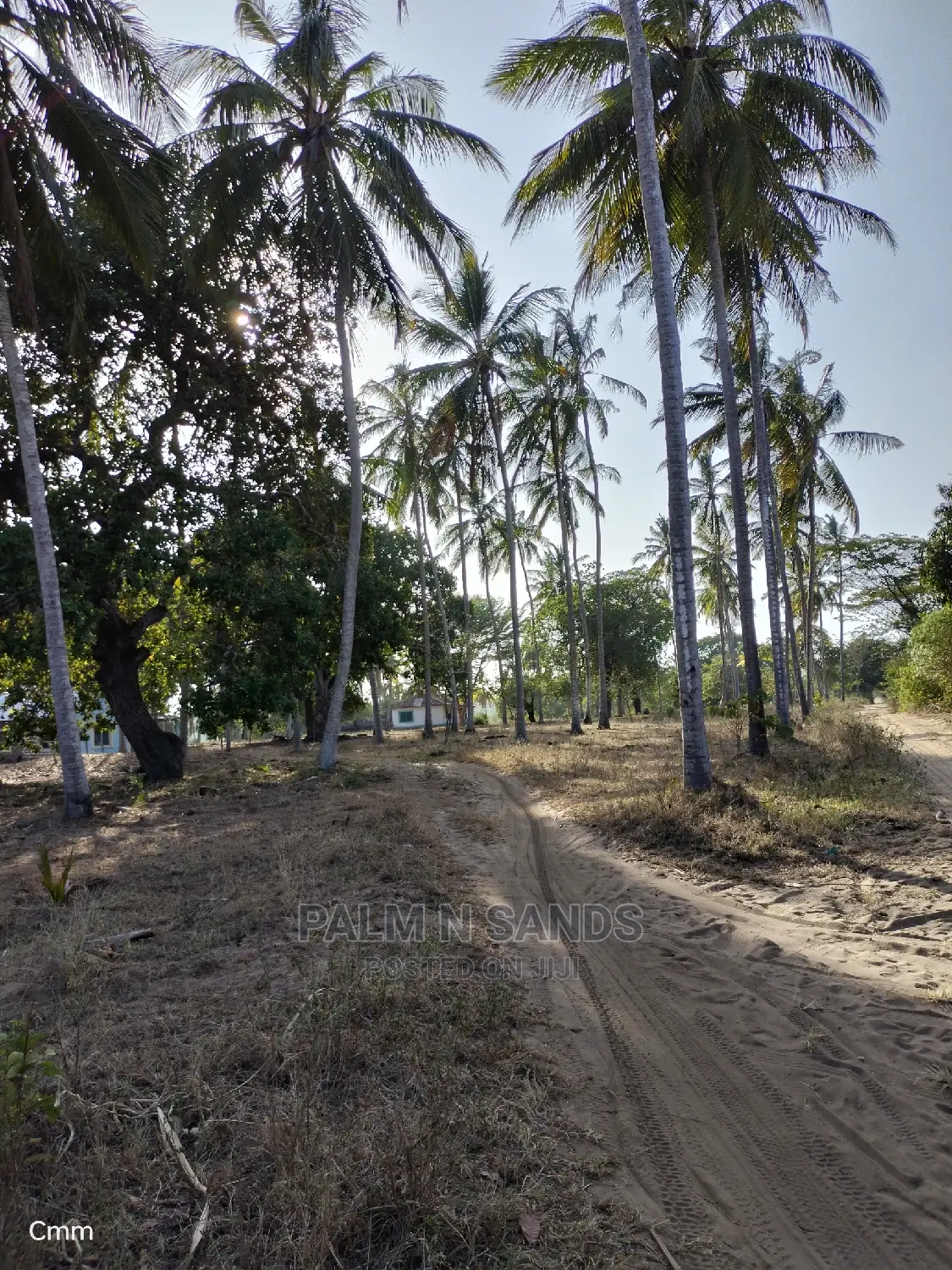 12-Acre Mvindeni Property: Investment Opportunity in Ukunda