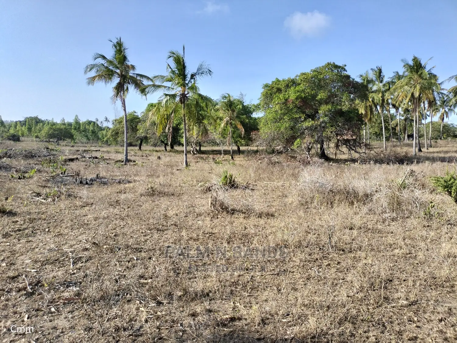 12-Acre Mvindeni Property: Investment Opportunity in Ukunda