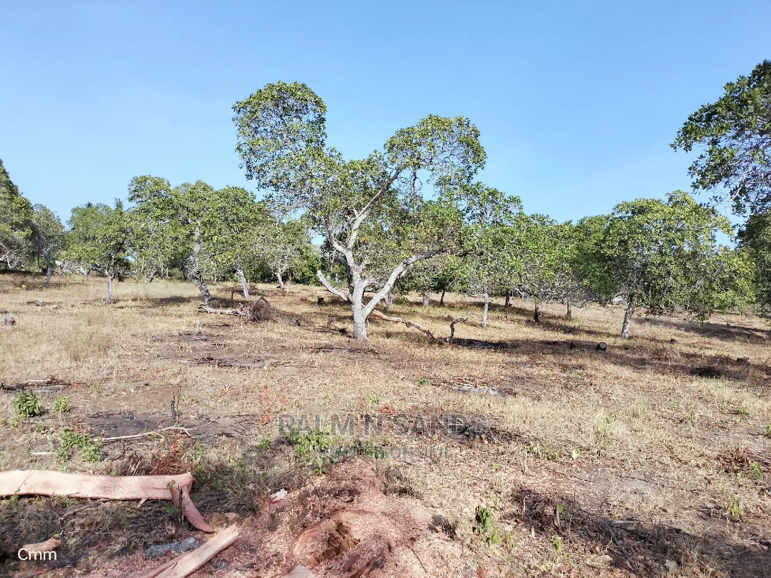 12-Acre Mvindeni Property: Investment Opportunity in Ukunda