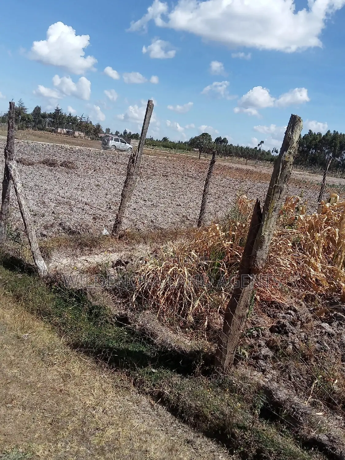 Invest in 1/2 Acre Land in Flyover Kinangop - Limited Time Offer! in Magumu