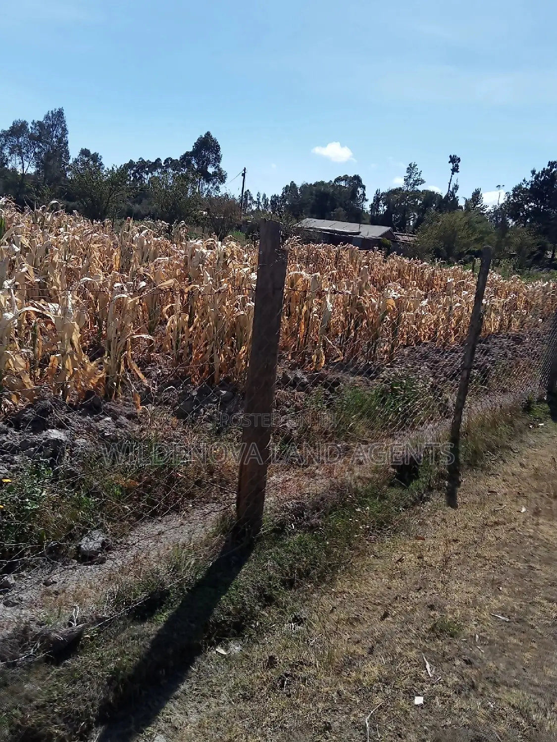 Invest in 1/2 Acre Land in Flyover Kinangop - Limited Time Offer! in Magumu