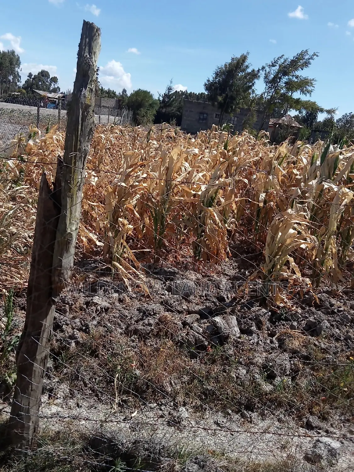 Invest in 1/2 Acre Land in Flyover Kinangop - Limited Time Offer! in Magumu