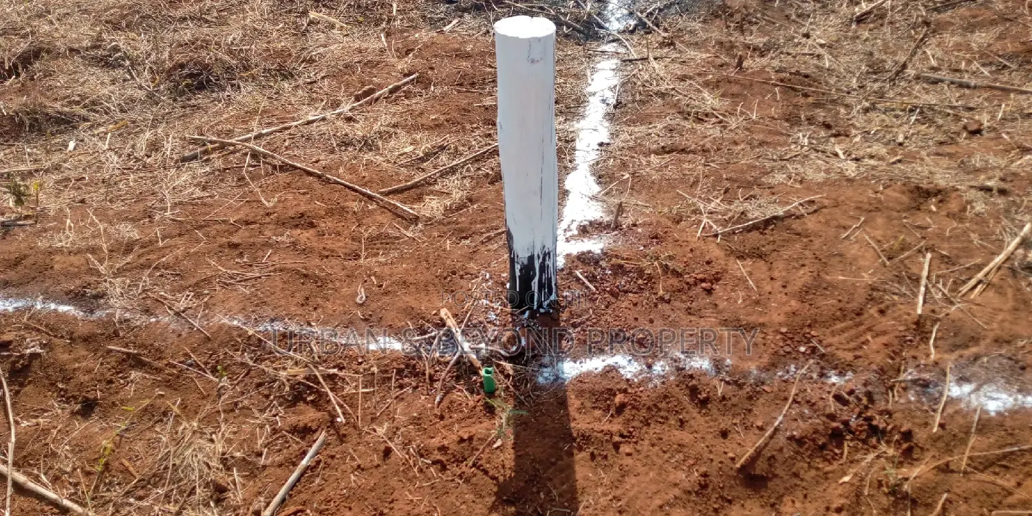 Exclusive: Prime 50*100 Kikuyu Plots in Migumuini - Perfect for Investment in Kikuyu