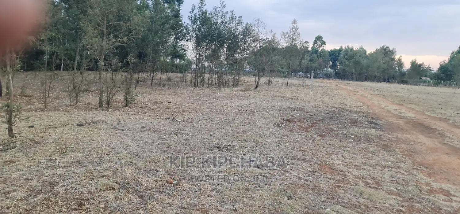 Lemook Kapseret Eldore: Efficient Tarmac Bypass Solution in Kapseret