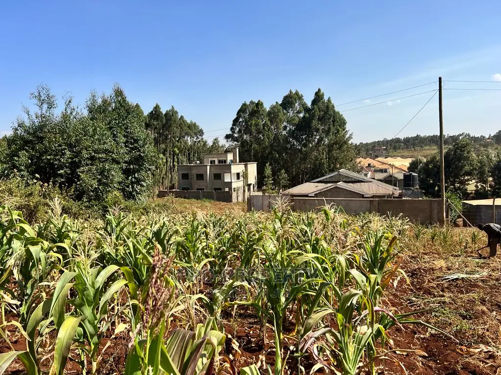 Spacious 100 X 100ft Plot Available in Kikuyu, Ondiri in Karai