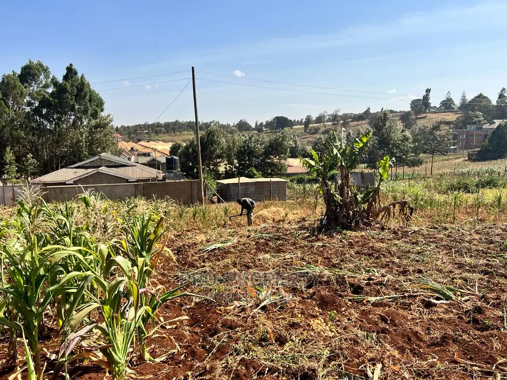 Spacious 100 X 100ft Plot Available in Kikuyu, Ondiri in Karai