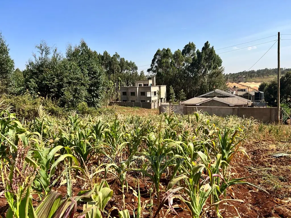Spacious 100 X 100ft Plot Available in Kikuyu, Ondiri in Karai