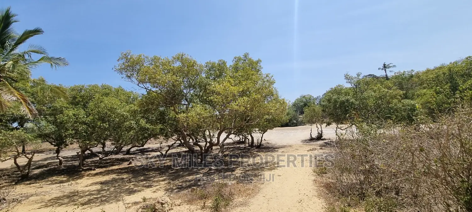 Creek Beach: Unique Virgin Land in Mtwapa for Sale in Mtwapa