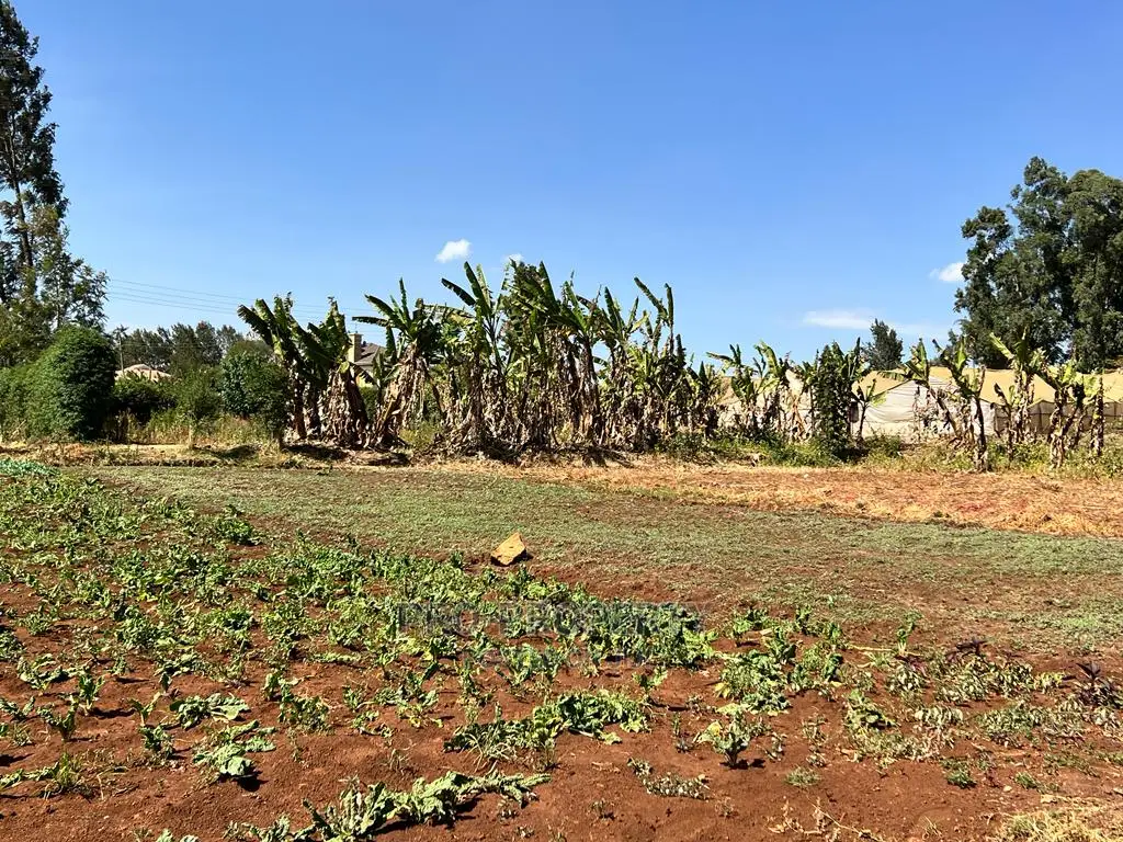 100x100ft Residential Plot in Sought-after Kikuyu, Ondiri - For Sale in Karai