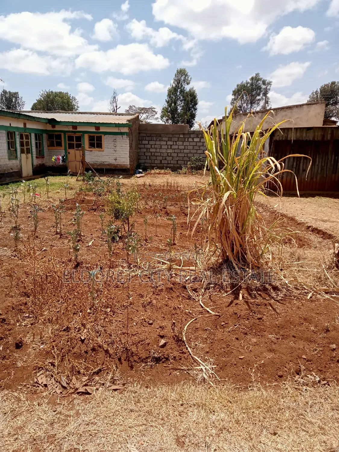 Spacious Kiumu 1/8 Plot with Built Structures - For Sale in Eldoret CBD