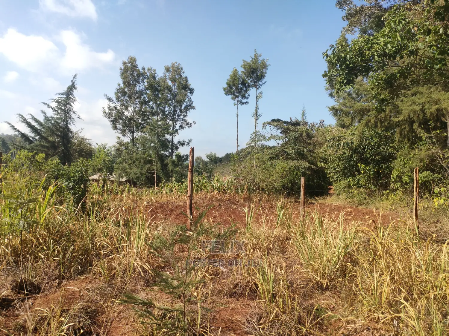 1 1/4acre Karatina/ Ngorano in Karatina Town