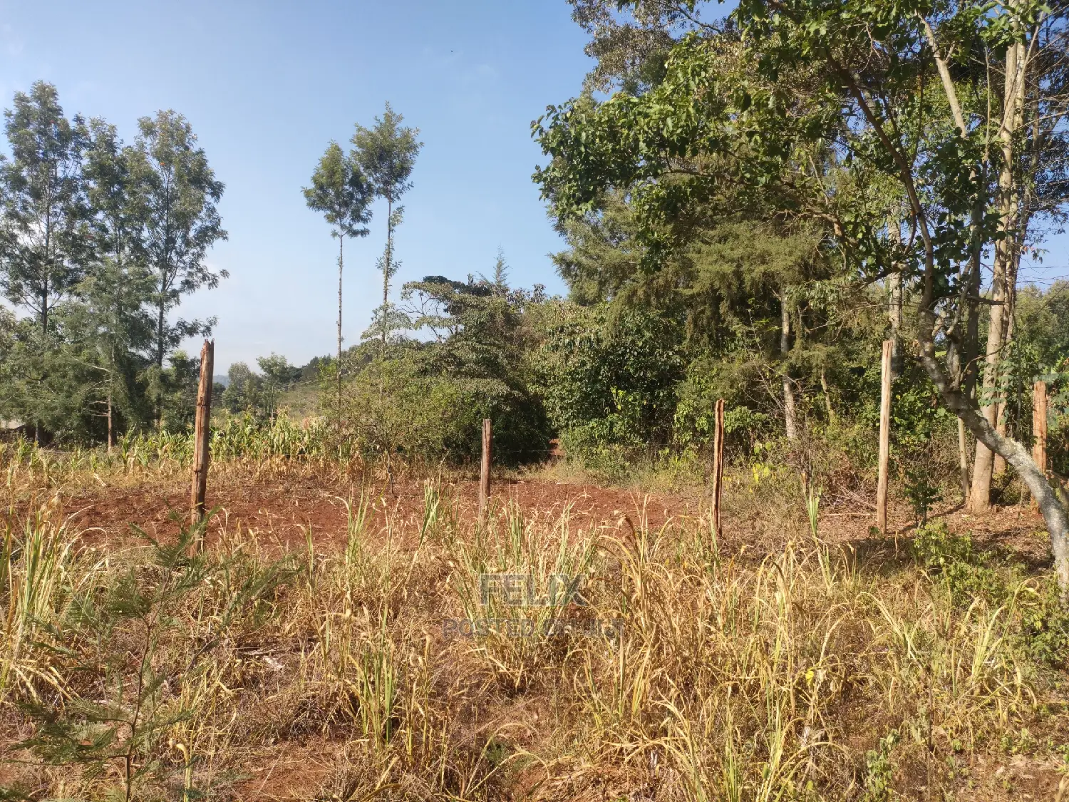 1 1/4acre Karatina/ Ngorano in Karatina Town