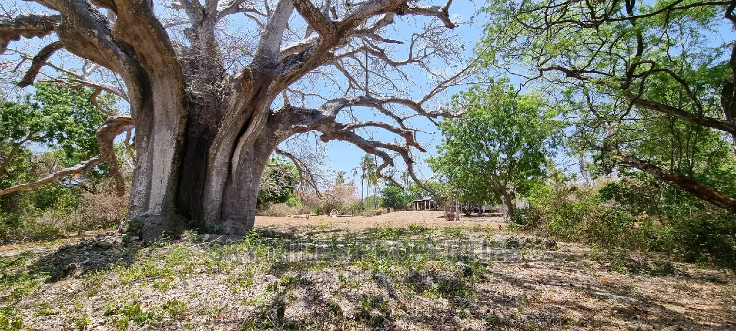 10-Acre Kuruwitu Land: A prime real estate opportunity awaits in Vipingo
