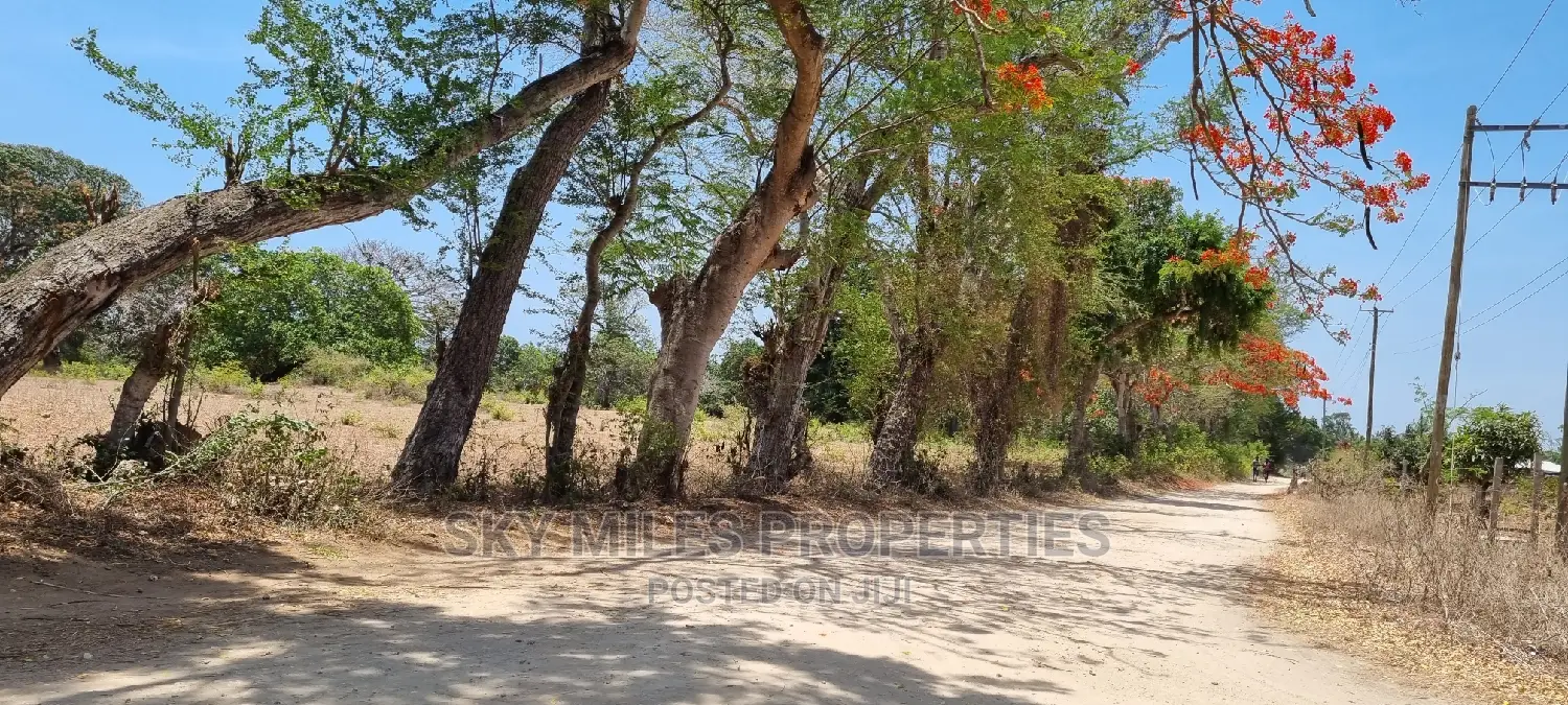 75 Acre Land in Vipingo Kuruwitu: Your Dream Investment Awaits in Vipingo