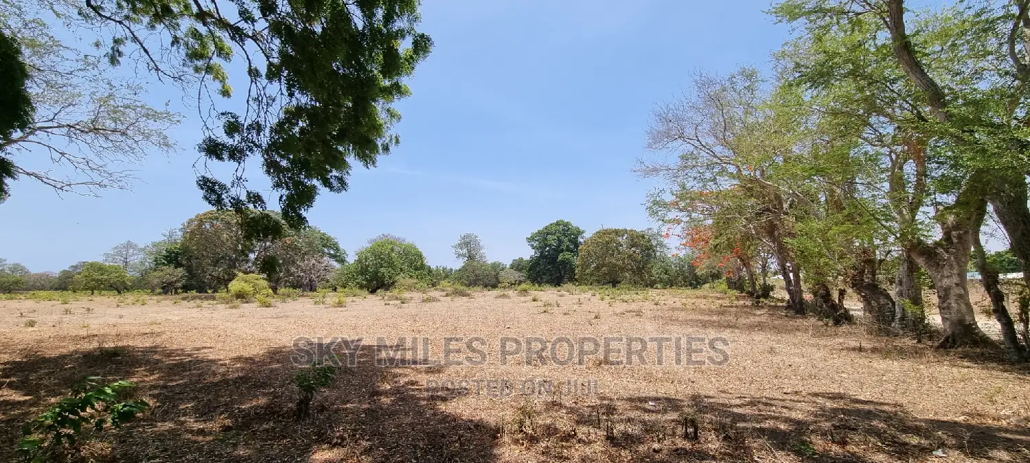 75 Acre Land in Vipingo Kuruwitu: Your Dream Investment Awaits in Vipingo