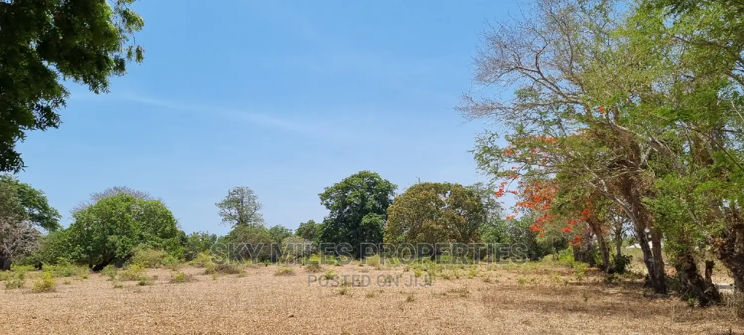 75 Acre Land in Vipingo Kuruwitu: Your Dream Investment Awaits in Vipingo