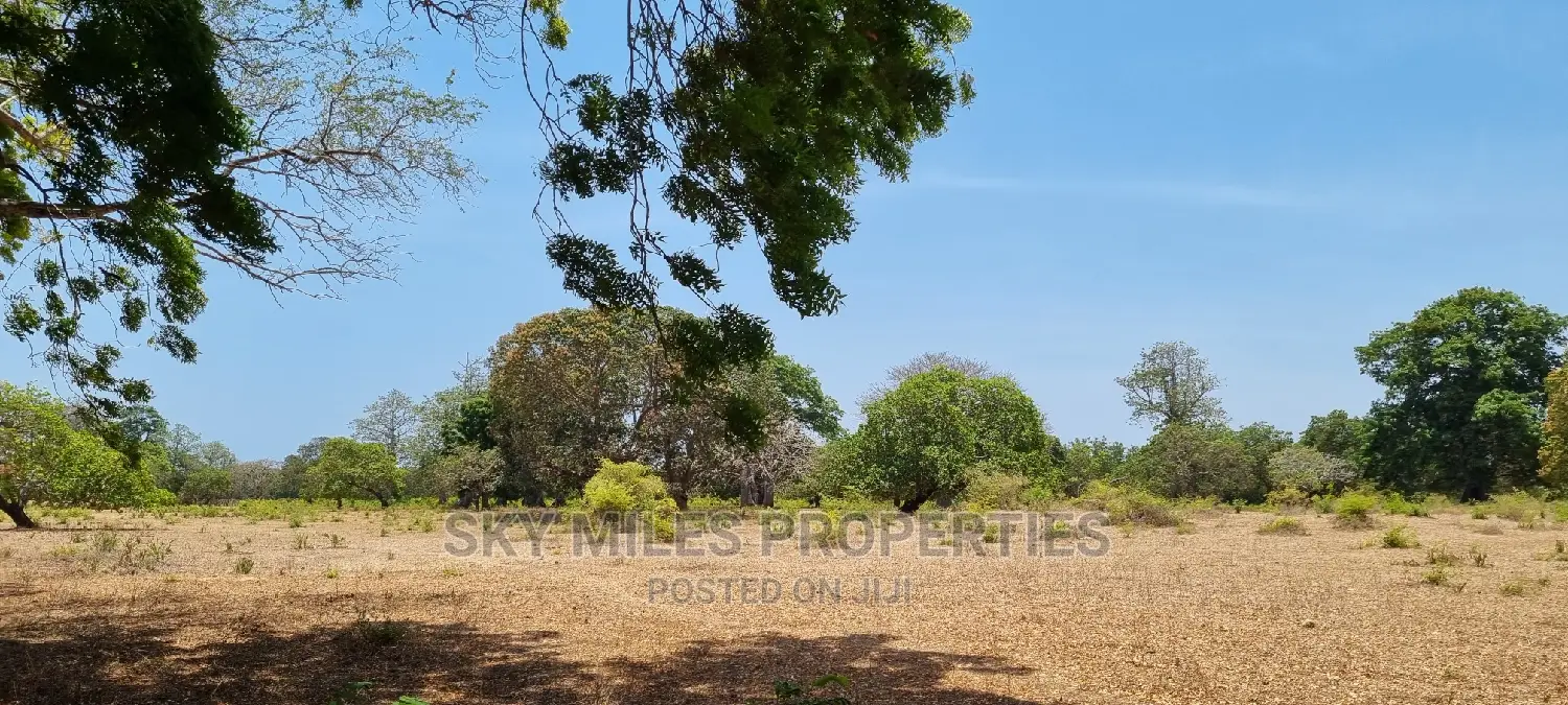 75 Acre Land in Vipingo Kuruwitu: Your Dream Investment Awaits in Vipingo