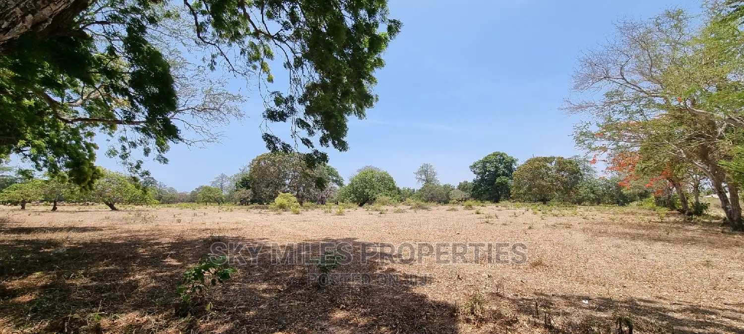 75 Acre Land in Vipingo Kuruwitu: Your Dream Investment Awaits in Vipingo