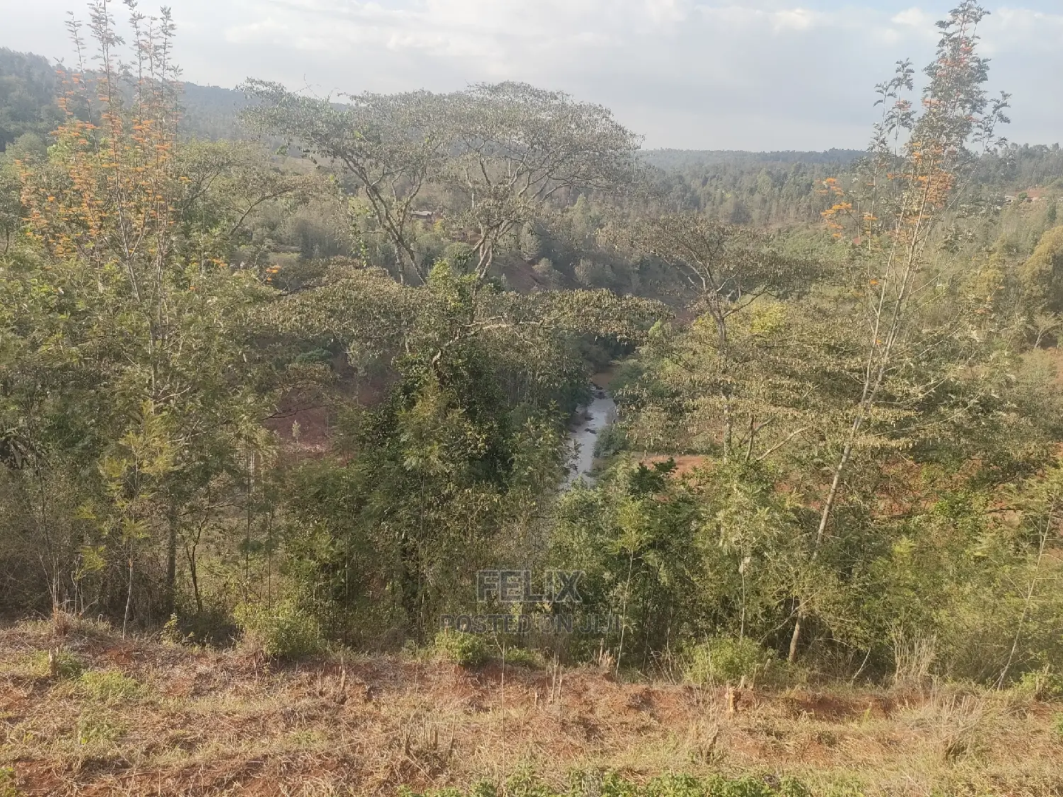 Karatina Wariruta / Wakamata in Karatina Town