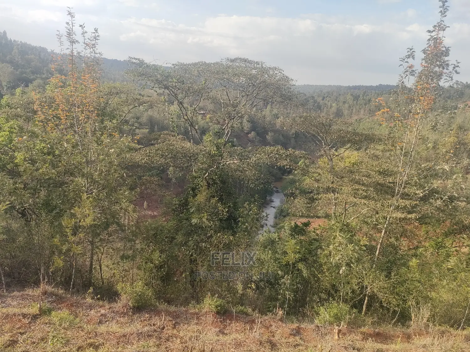 Karatina Wariruta / Wakamata in Karatina Town