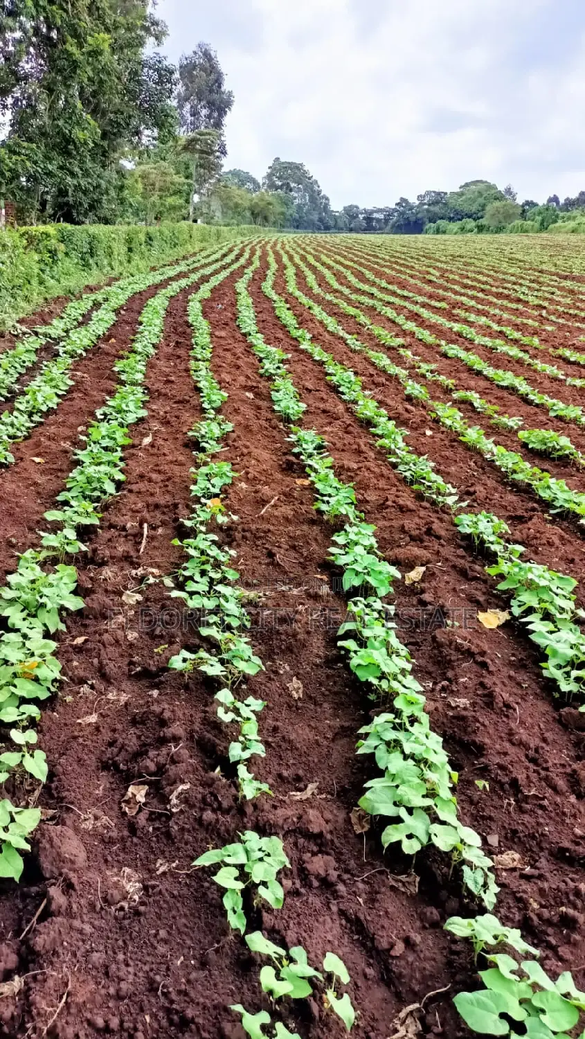 Kipkaren Turbo Title: 5-Acre Plot Available for Sale in Eldoret CBD