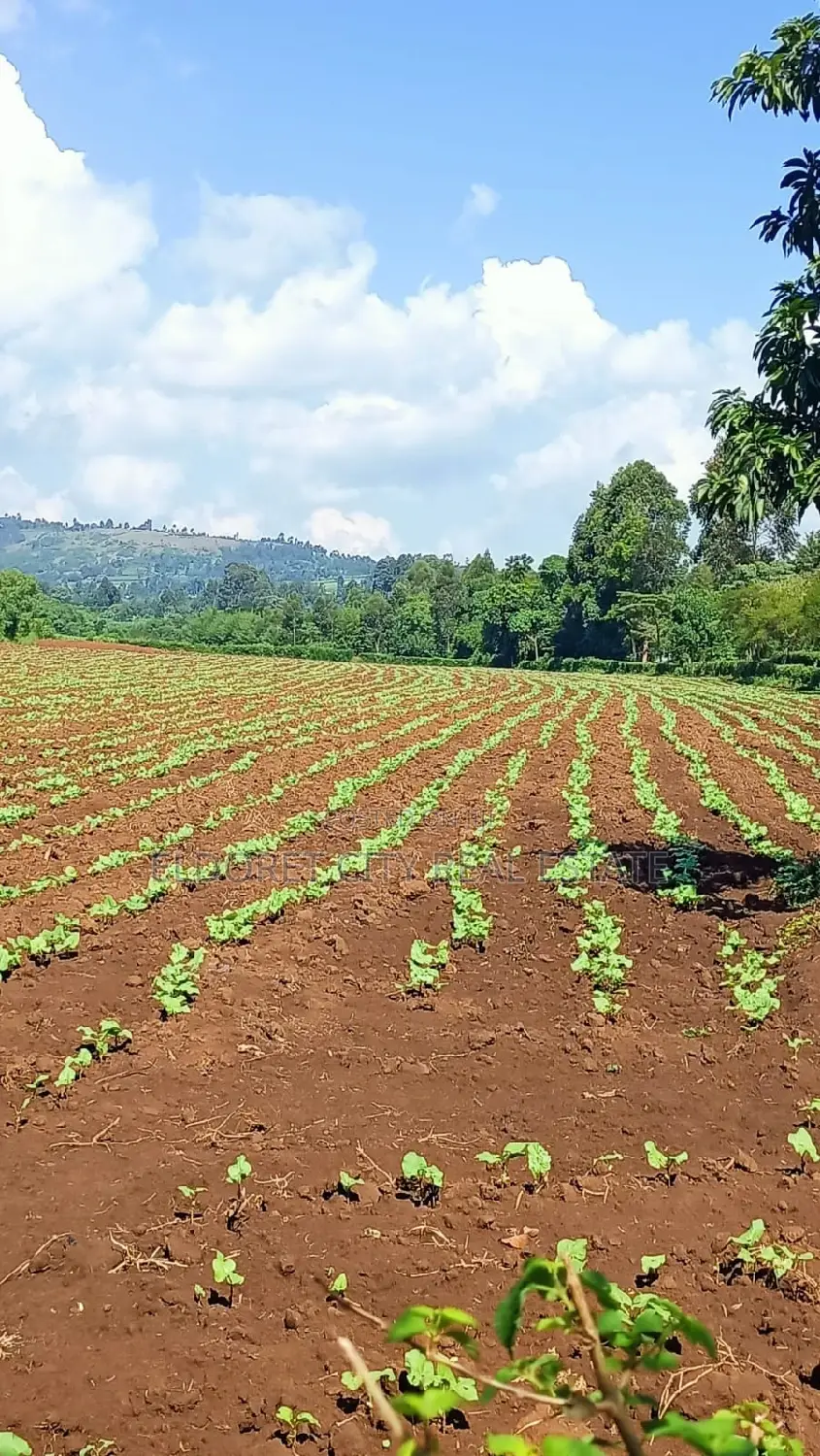 Kipkaren Turbo Title: 5-Acre Plot Available for Sale in Eldoret CBD