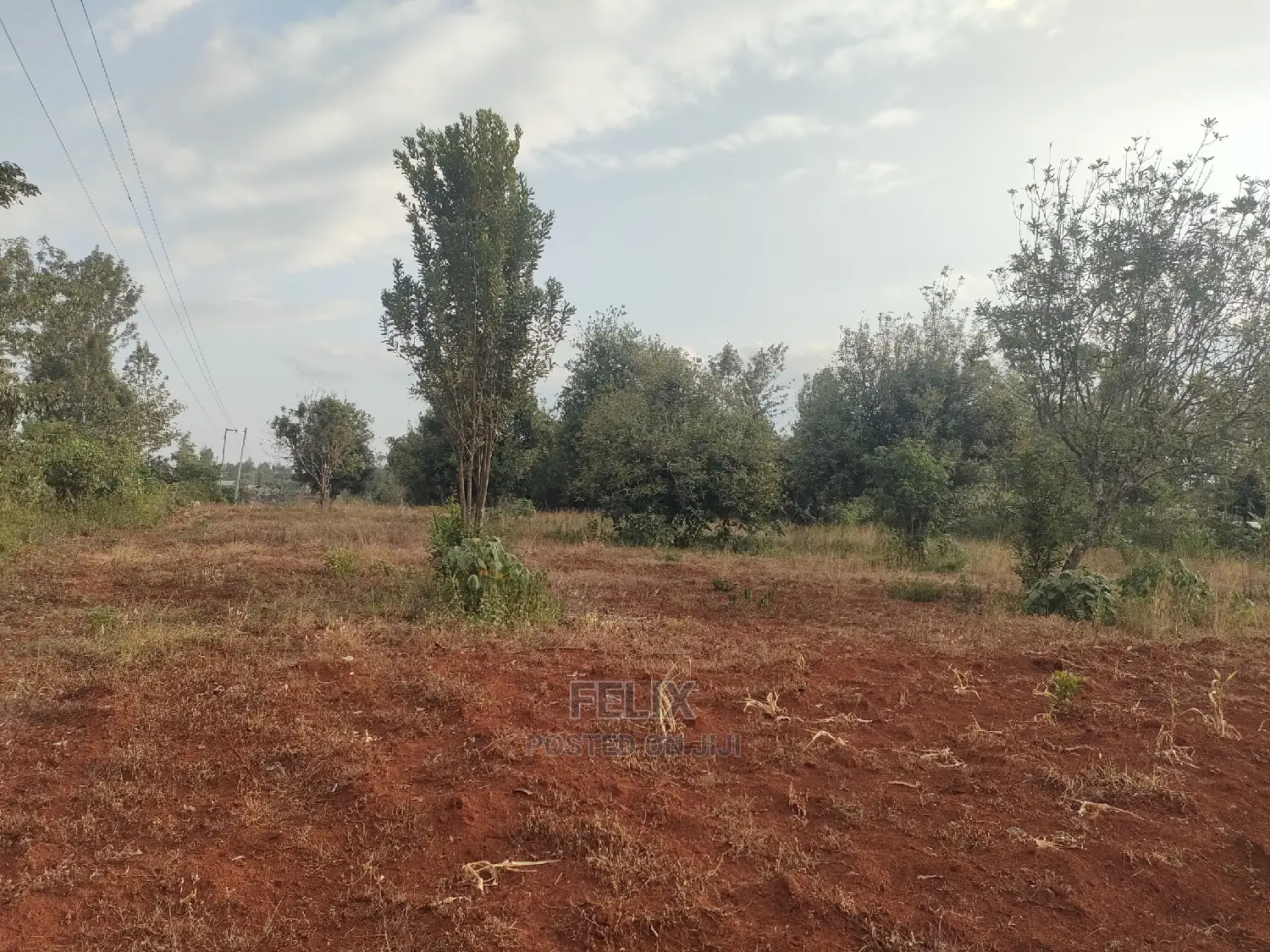 Nyeri/ Gatitu,Githiru 1/4 Plots on Sale in Gatitu