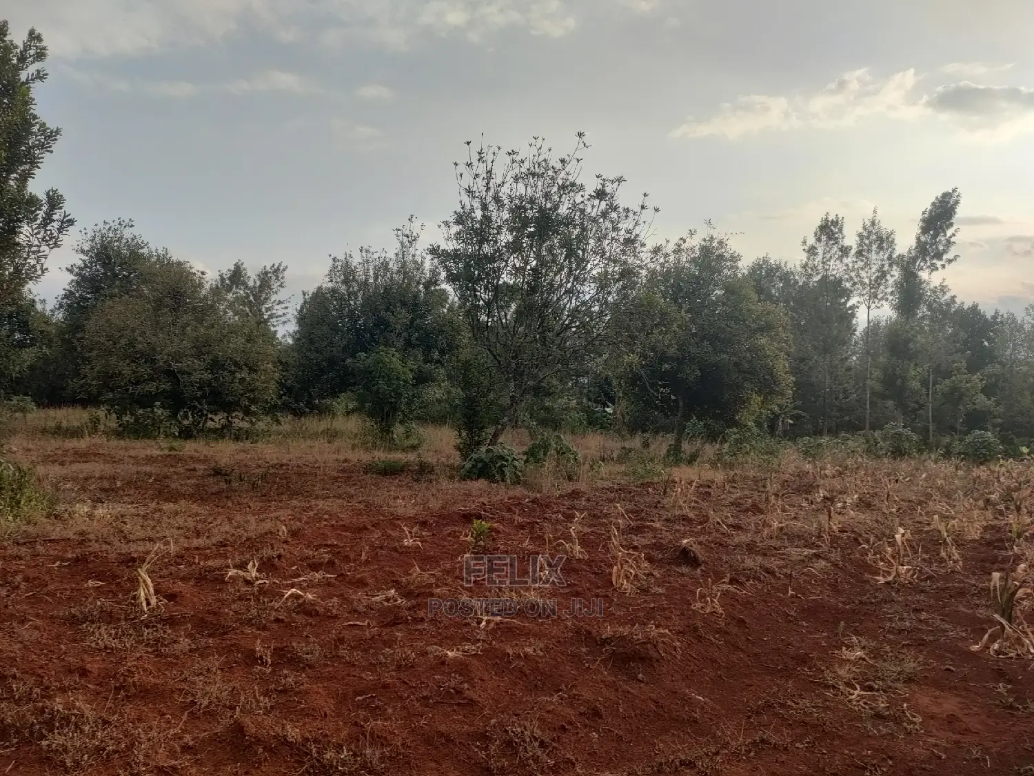 Nyeri/ Gatitu,Githiru 1/4 Plots on Sale in Gatitu