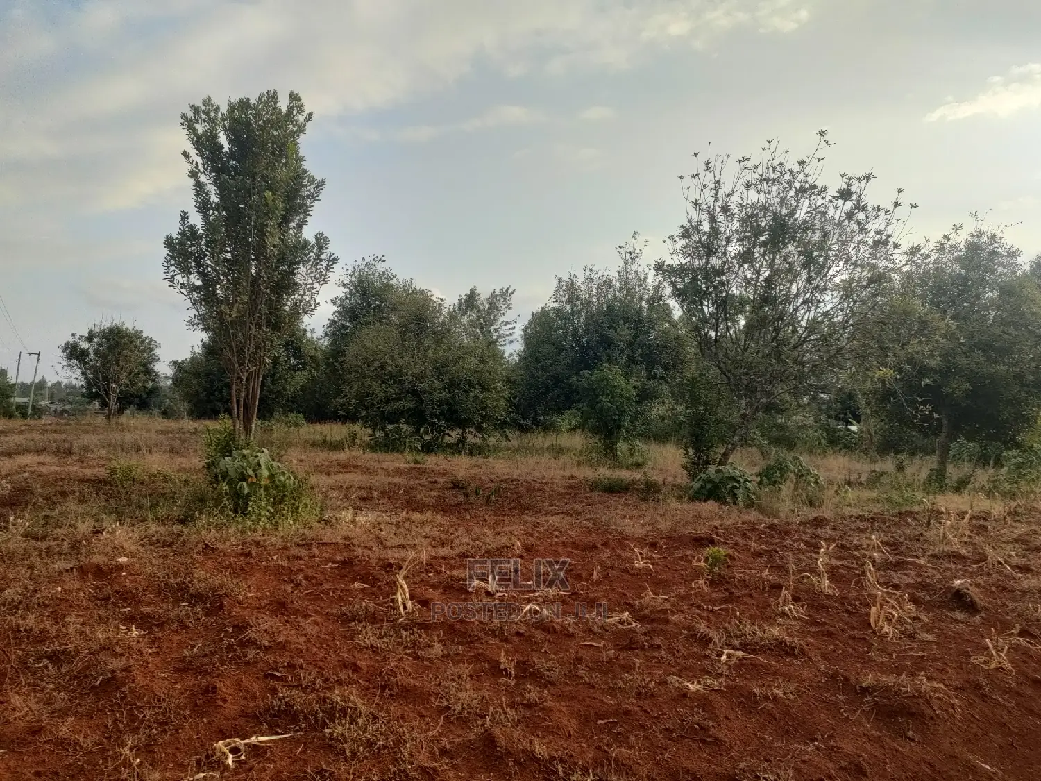 Nyeri/ Gatitu,Githiru 1/4 Plots on Sale in Gatitu