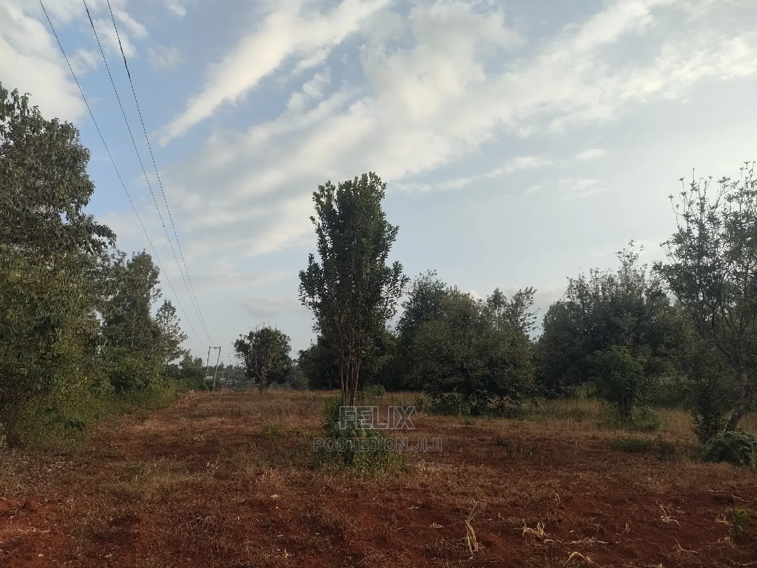 Nyeri/ Gatitu,Githiru 1/4 Plots on Sale in Gatitu