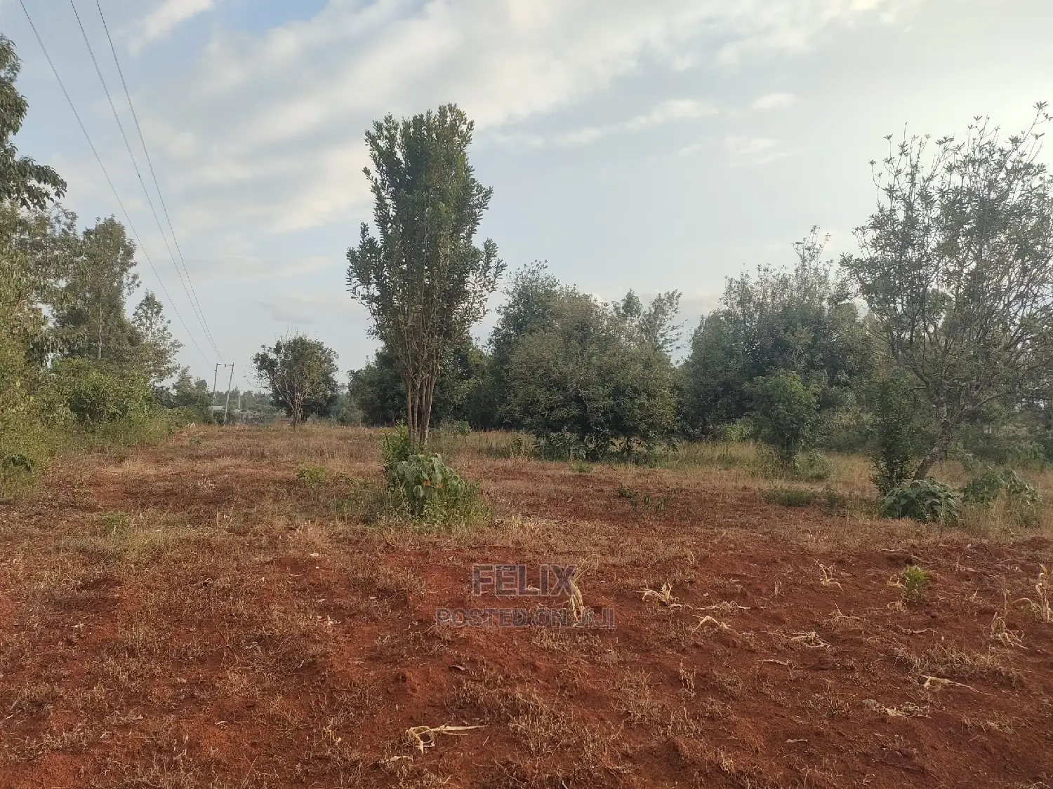 Nyeri/ Gatitu,Githiru 1/4 Plots on Sale in Gatitu