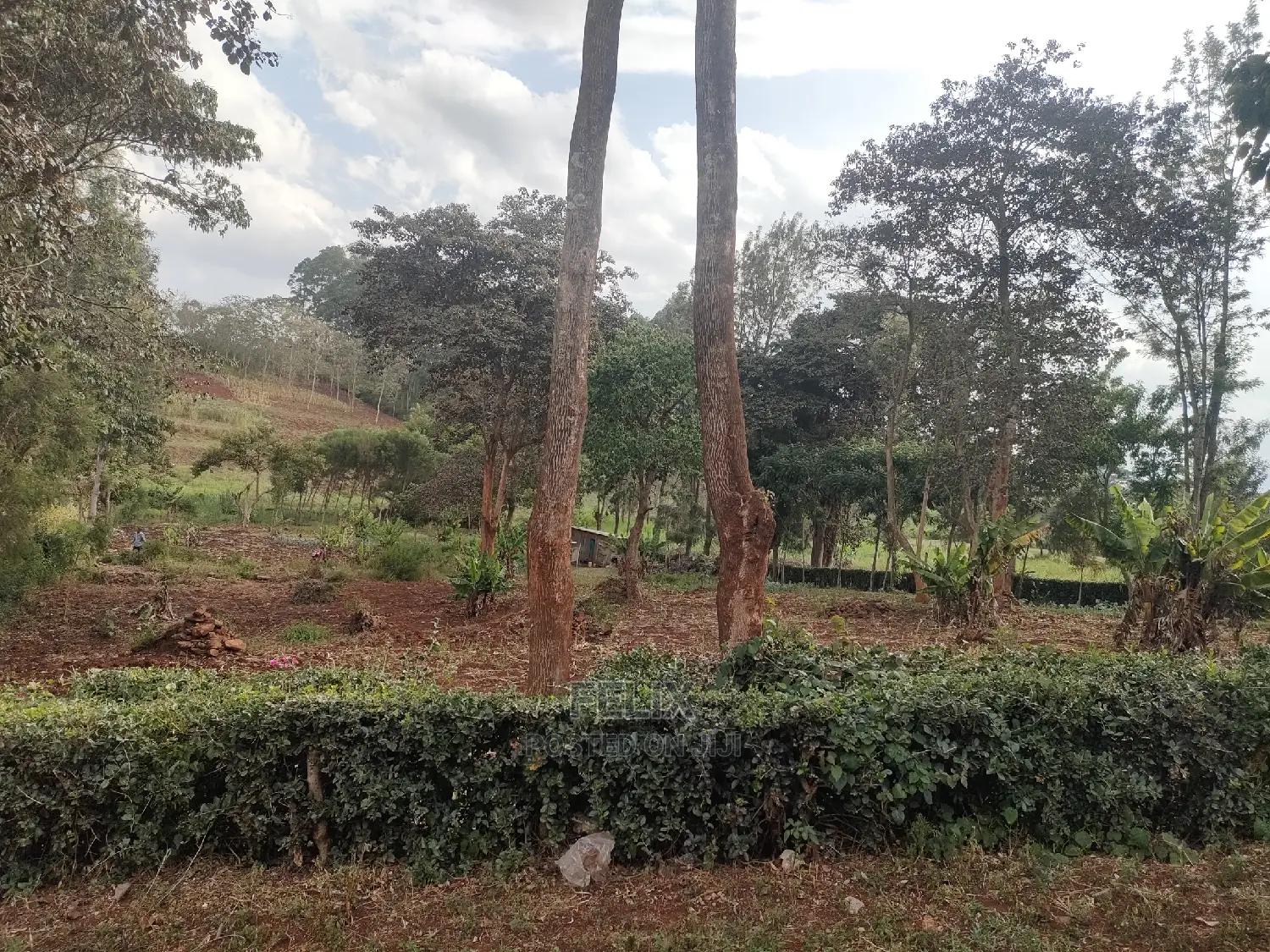 1 Acre Nyeri/ Skuta Touching Tarmac in Gatitu