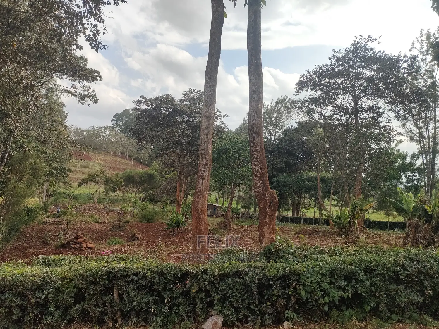 1 Acre Nyeri/ Skuta Touching Tarmac in Gatitu