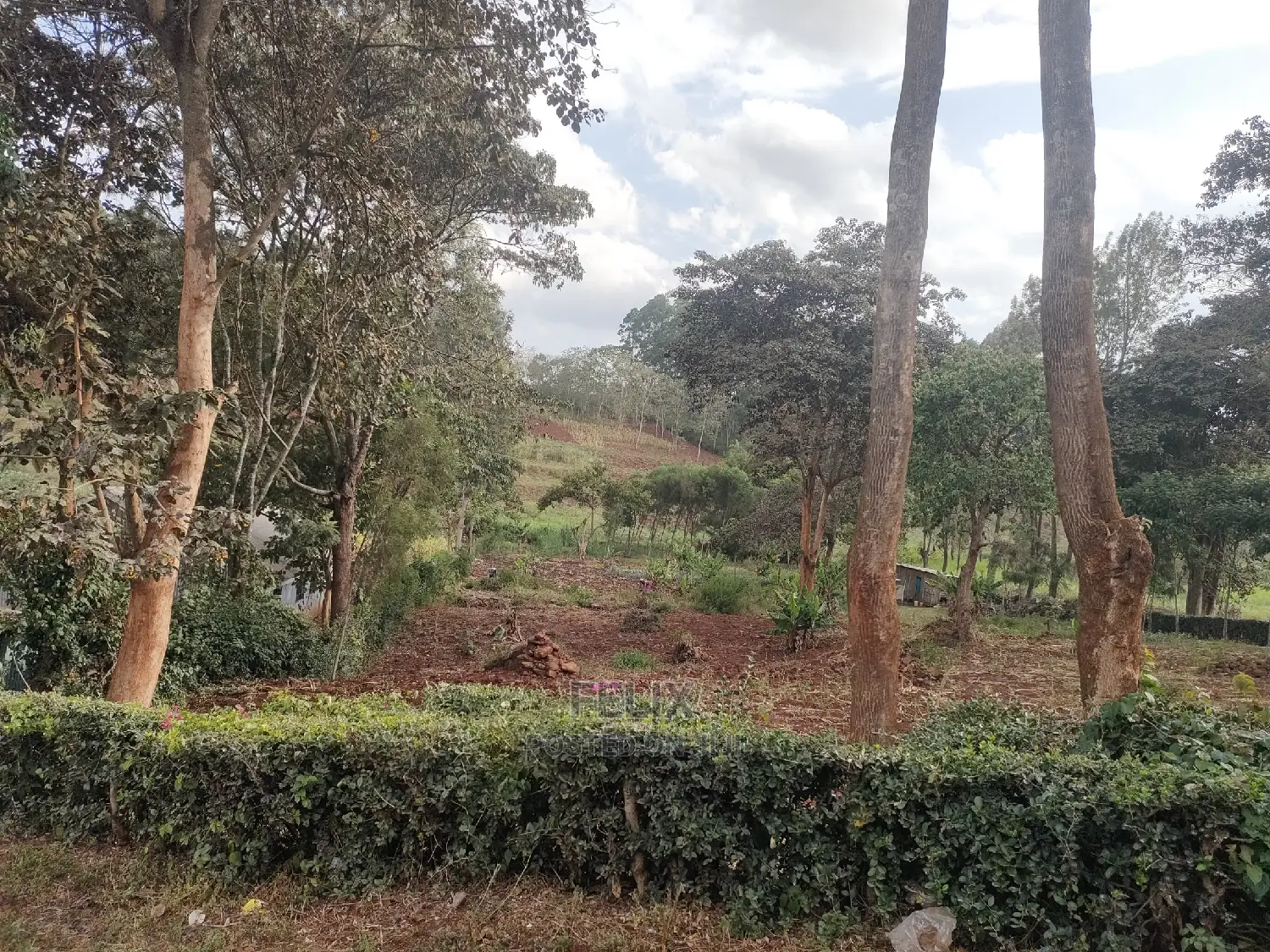 1 Acre Nyeri/ Skuta Touching Tarmac in Gatitu