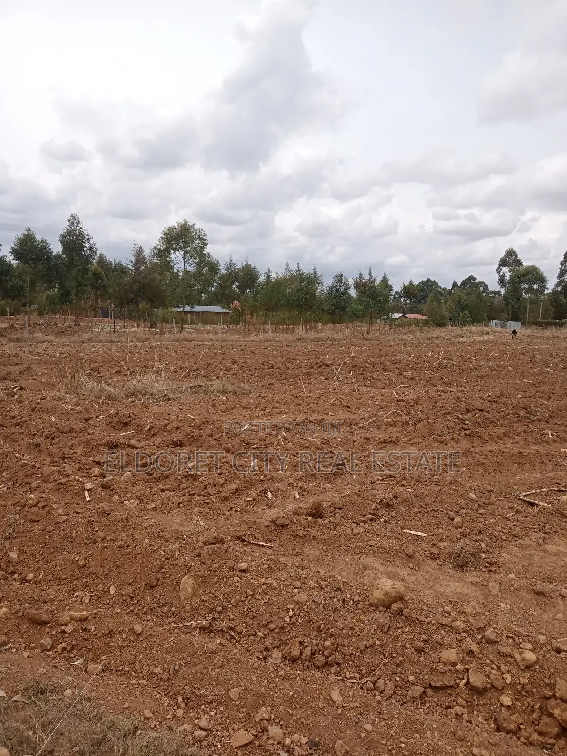2 Acres of Title Arable Land in Cheptiret for Sale in Cheptiret