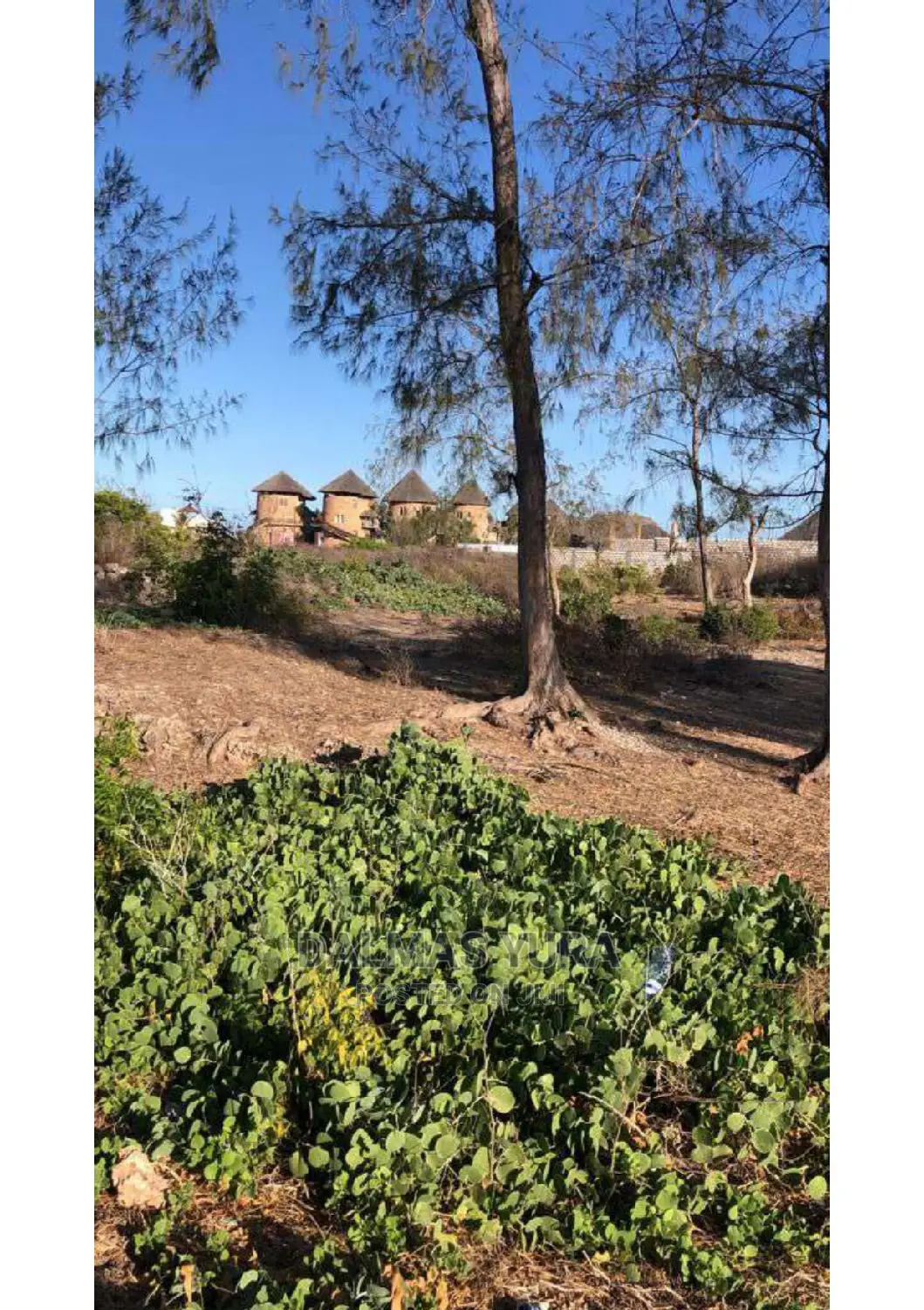 Watamu Half-Acre Land for Sale: Prime Real Estate Opportunity in Watamu