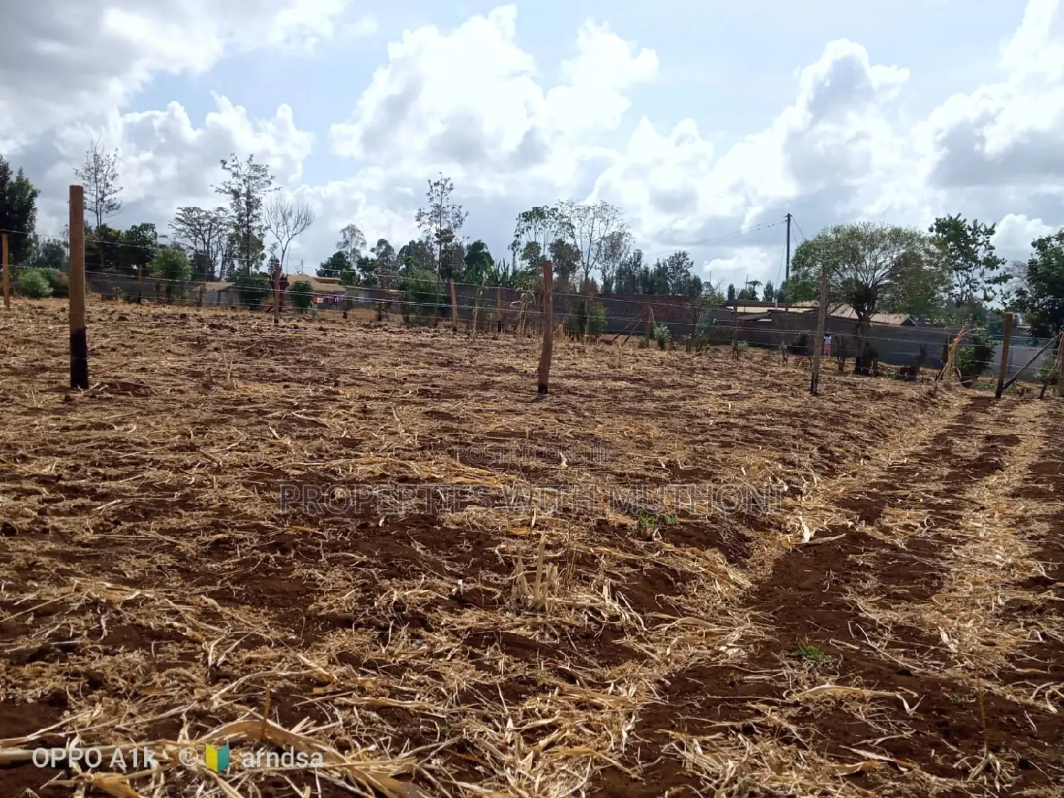 Buying a Plot in Kagio Town? 50x100 Sizes Available Now in Mutithi
