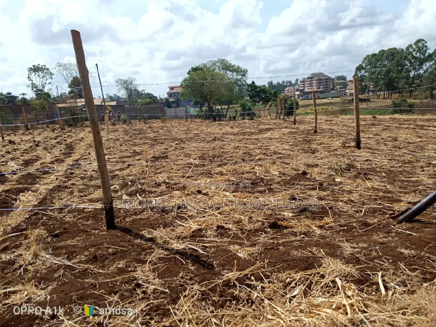 Buying a Plot in Kagio Town? 50x100 Sizes Available Now in Mutithi