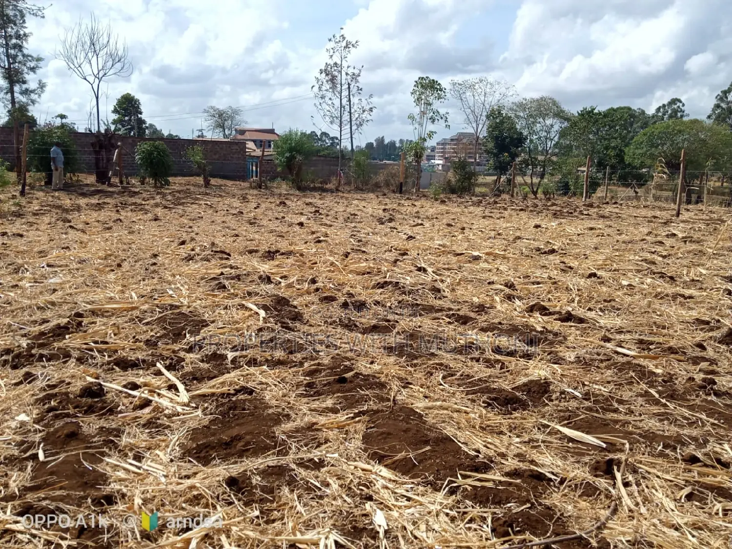 Buying a Plot in Kagio Town? 50x100 Sizes Available Now in Mutithi