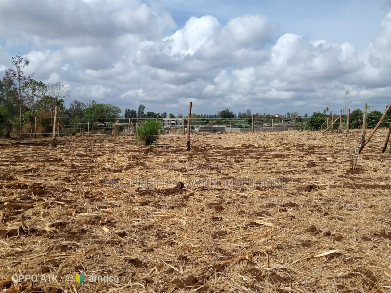 Buying a Plot in Kagio Town? 50x100 Sizes Available Now in Mutithi