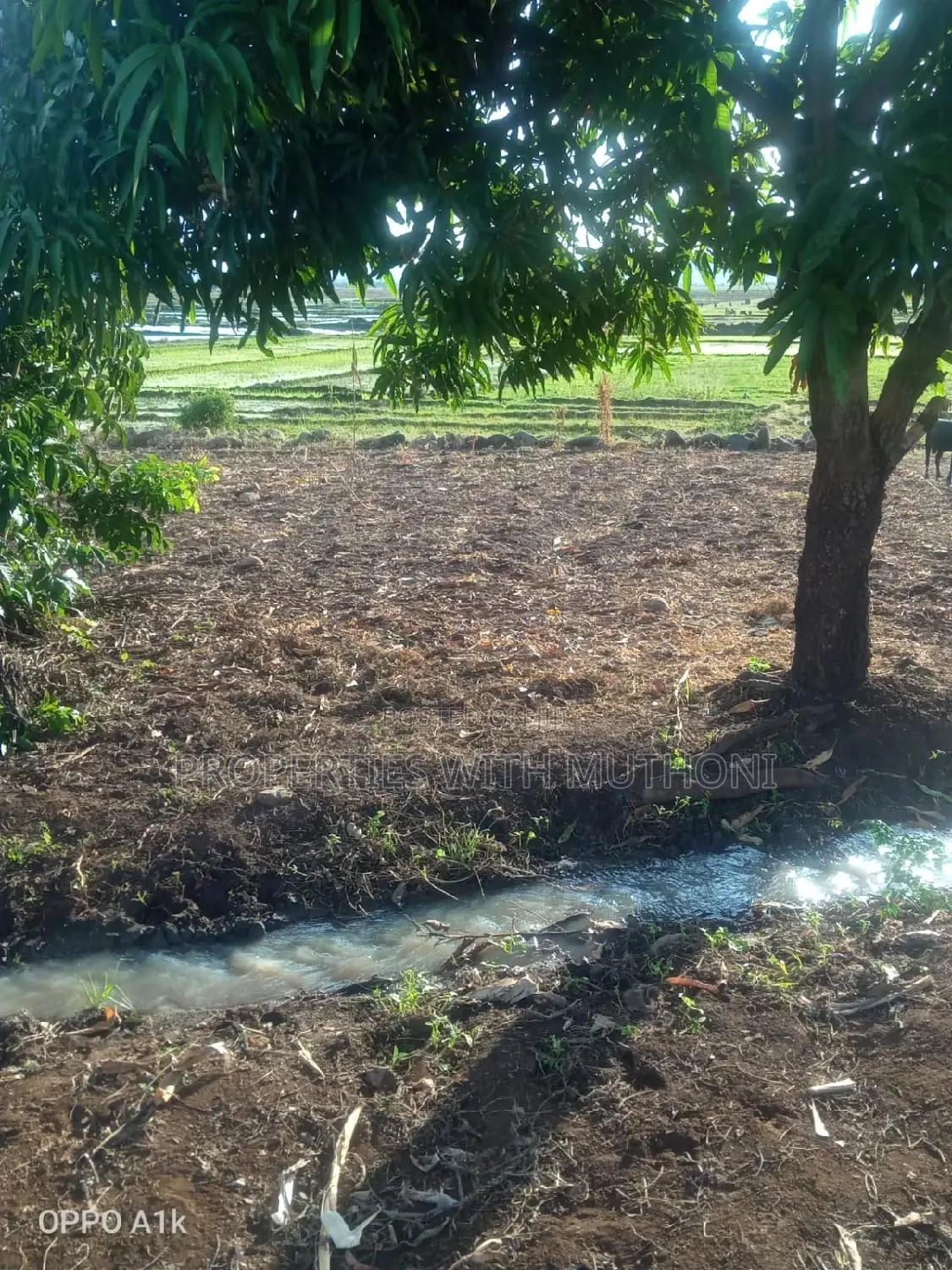 1-Acre Land for Sale in Kandongu, Mwea, Kirinyaga County in Mutithi