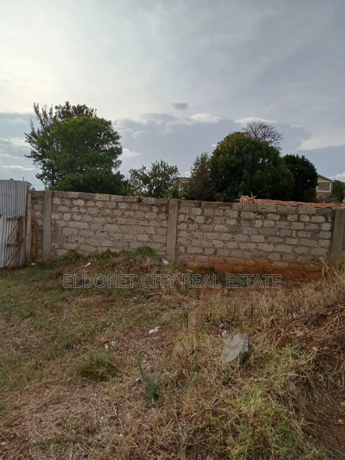 Aland West Indies Title: 3/4 Ownership Opportunity in Soy