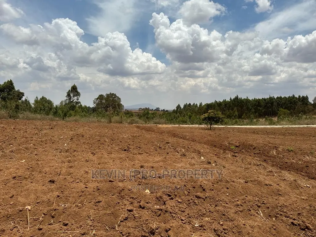 Half-Acre Land for Sale in Kikuyu, Kamangu - Residential in Karai