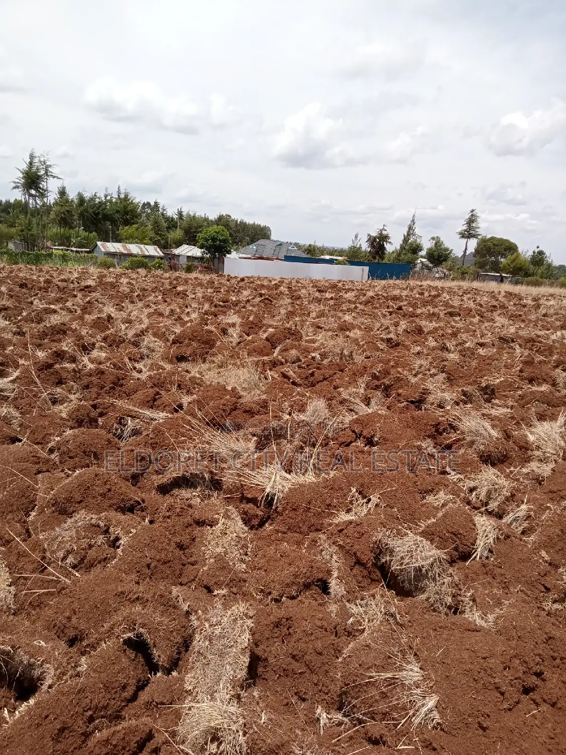 Kamariny Iten Land - 1/2 Acre Plot for Sale - Great Opportunity in Soy
