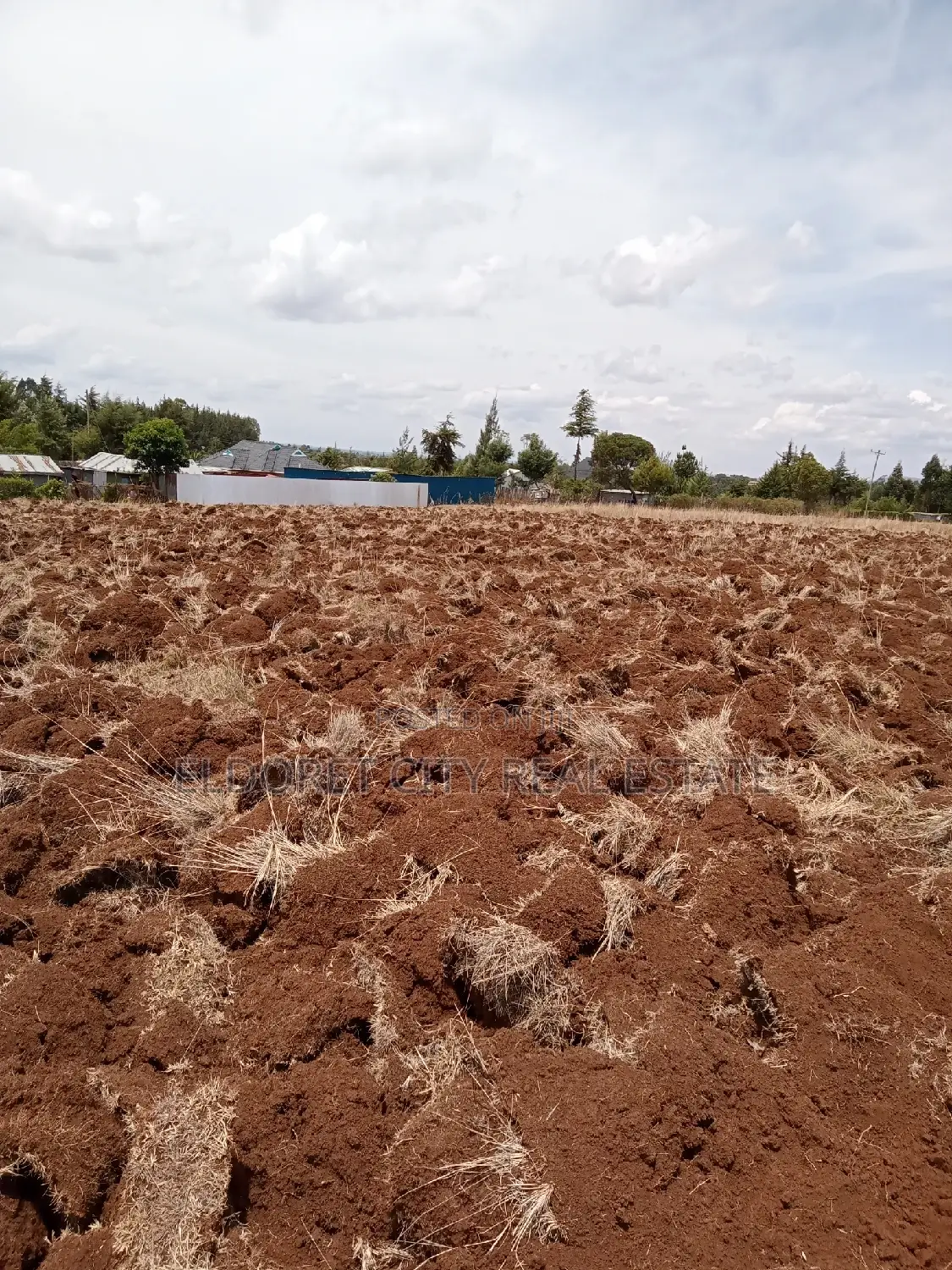 Kamariny Iten Land - 1/2 Acre Plot for Sale - Great Opportunity in Soy