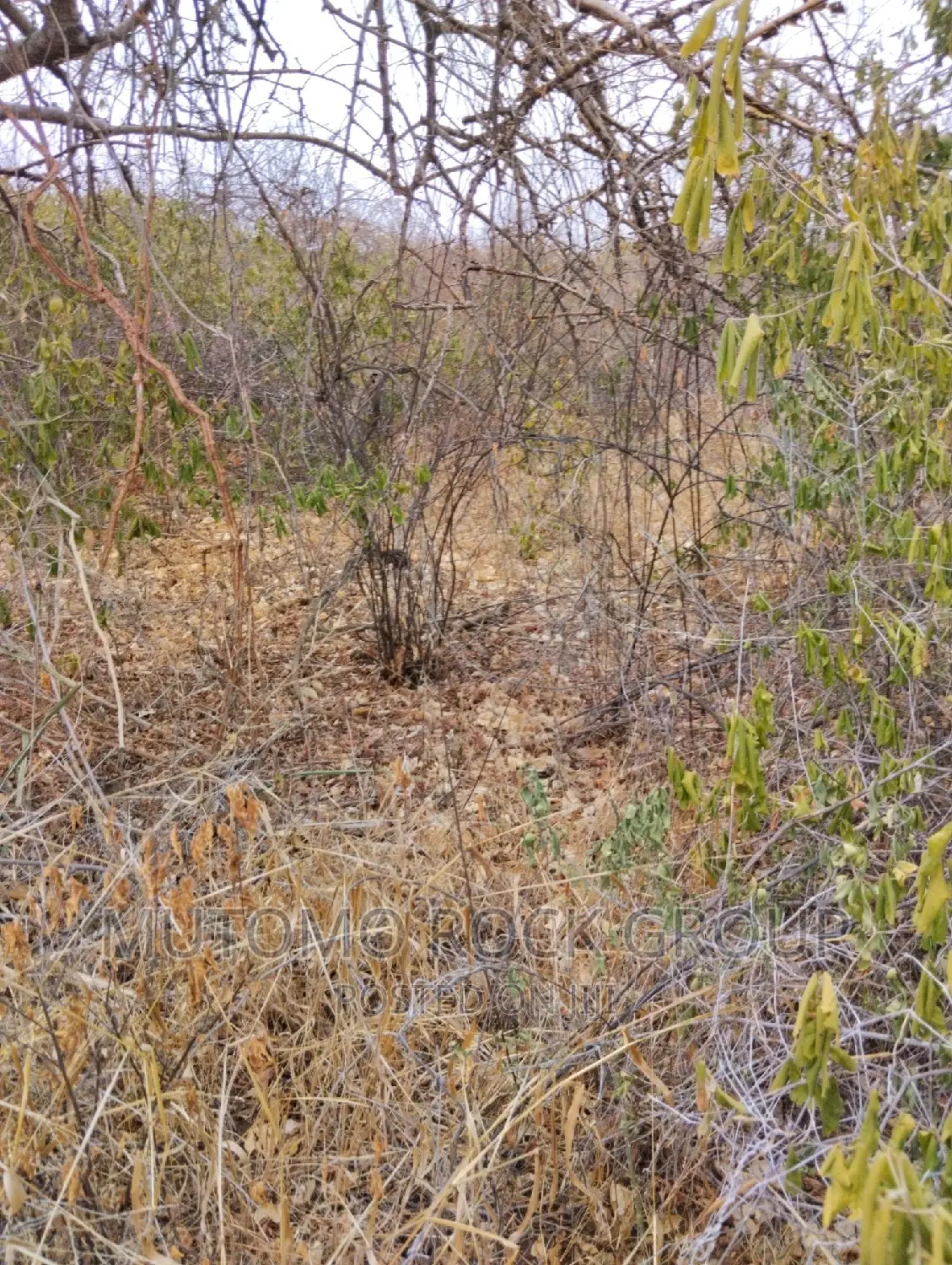 100acres for Sale With Title in Mutomo